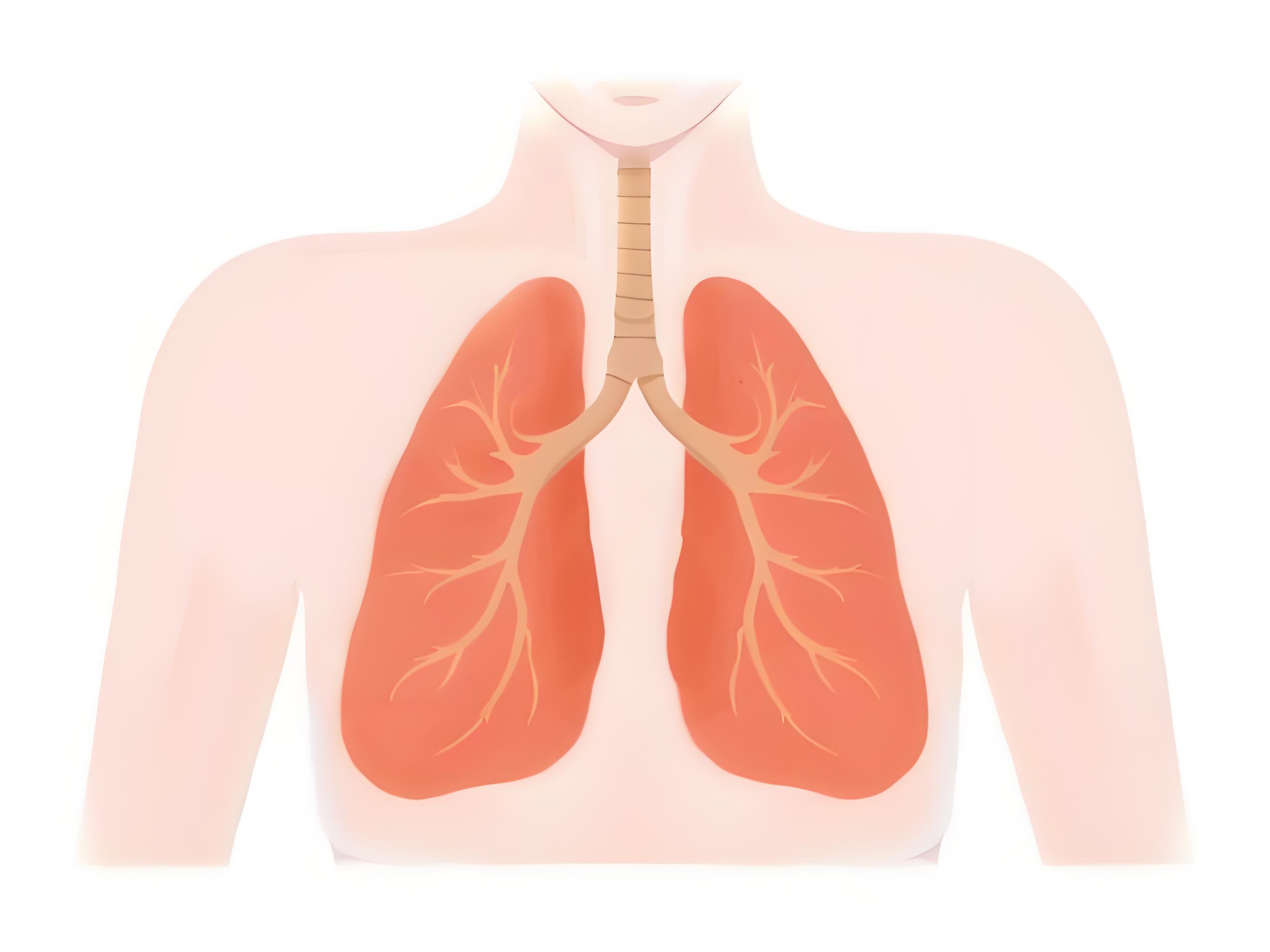 秋吃“白”，病不来!这5种白色食物便宜又养肺
