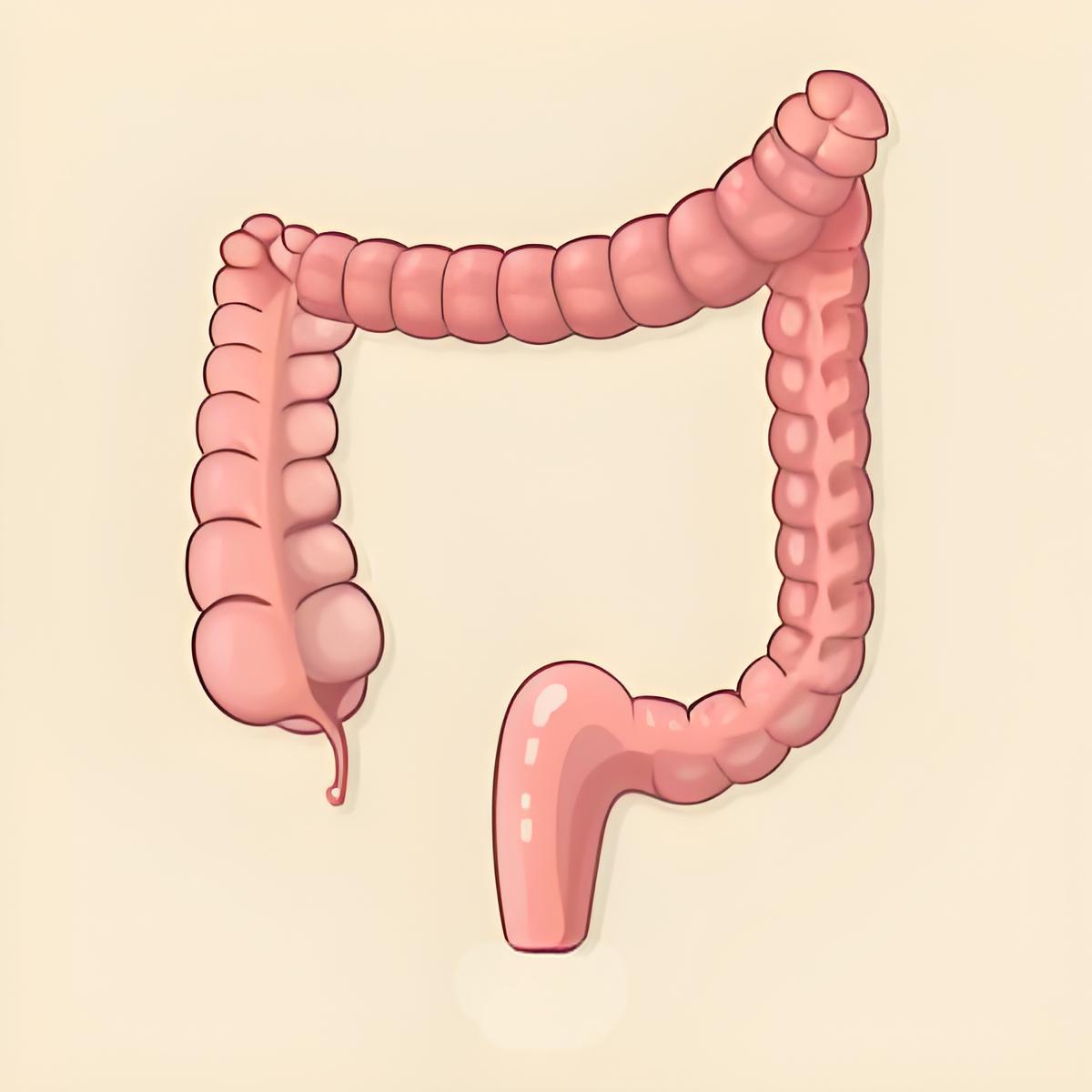 肠道长息肉，身体会发出这些信号!北京崇文门中医医院提醒您留意6个异常